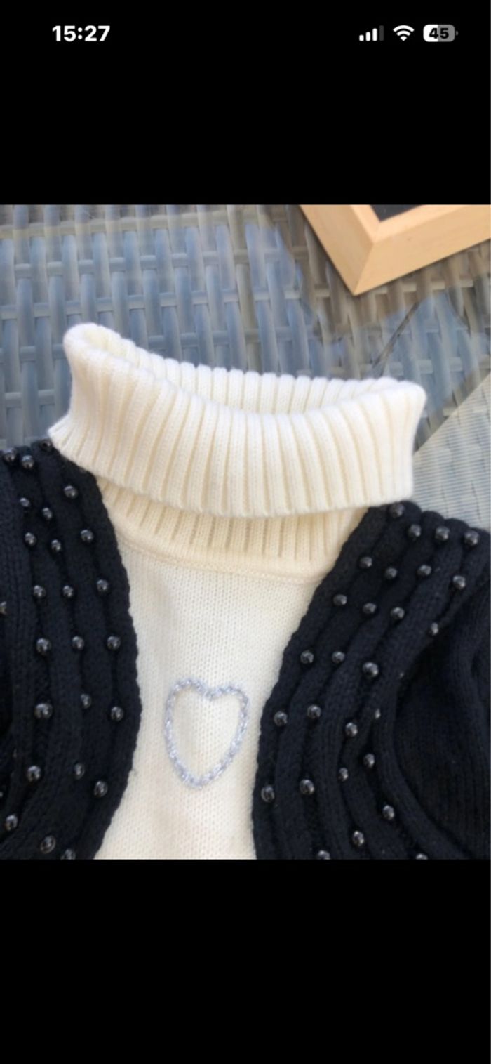 Pull 2/1 - photo numéro 5