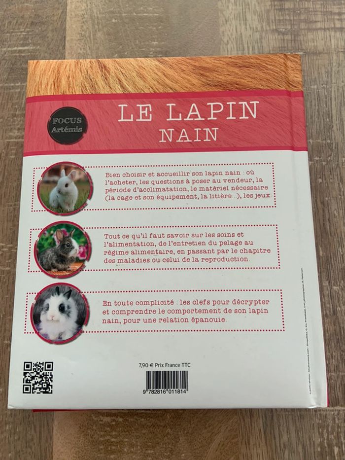 Le lapin nain - photo numéro 2
