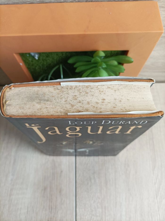 Livre Le Jaguar Loup Durand - photo numéro 4