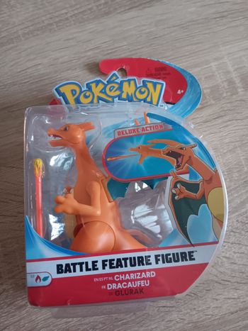 Pokemon dracaufeu 