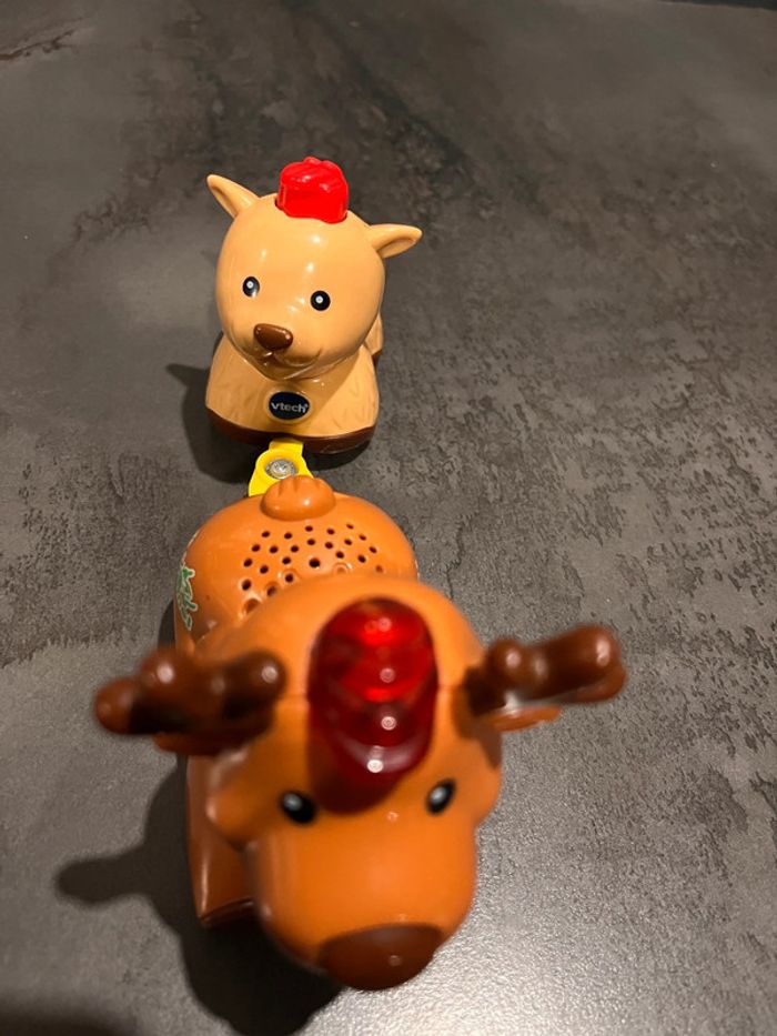 Tut tut animaux - photo numéro 5