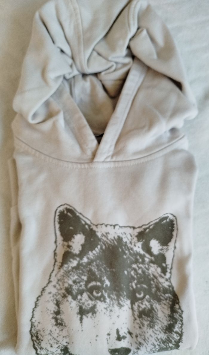 Lot de 6 sweats à capuche garçon 6 ans - photo numéro 2