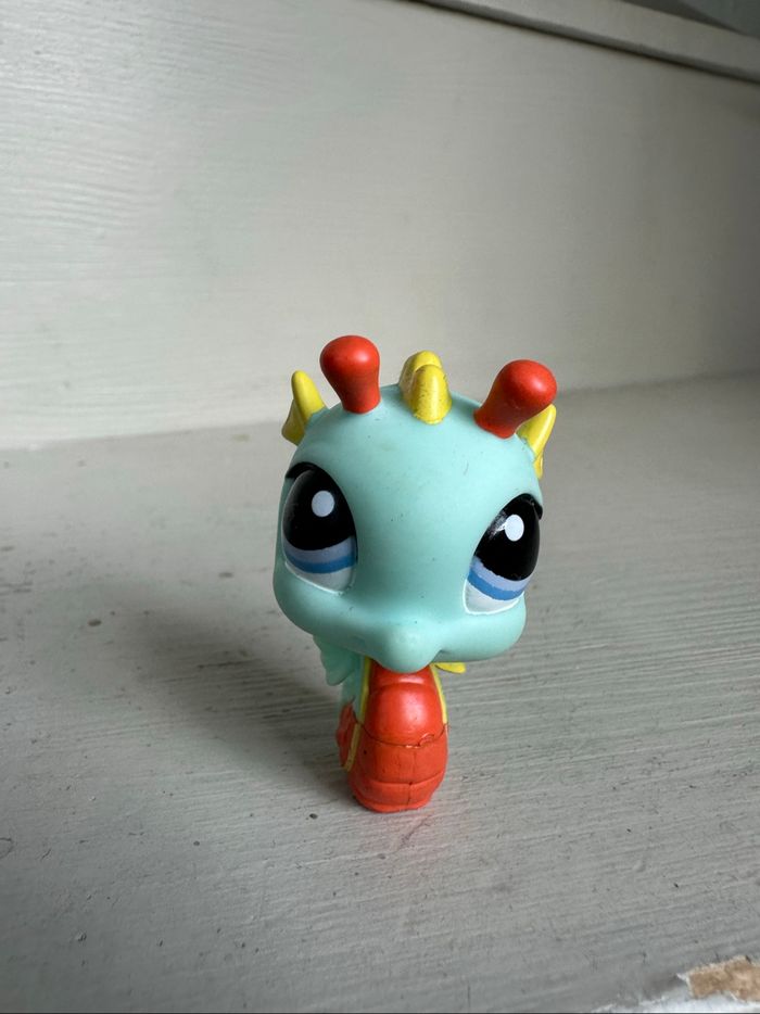 Petshop hippocampe - photo numéro 2