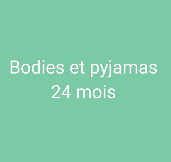 Lot bodies et pyjamas 24 mois