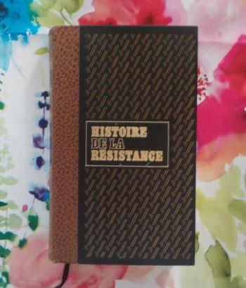 HISTOIRE DE LA RESISTANCE Mes camarades sont morts T2 Le contre-espionnage