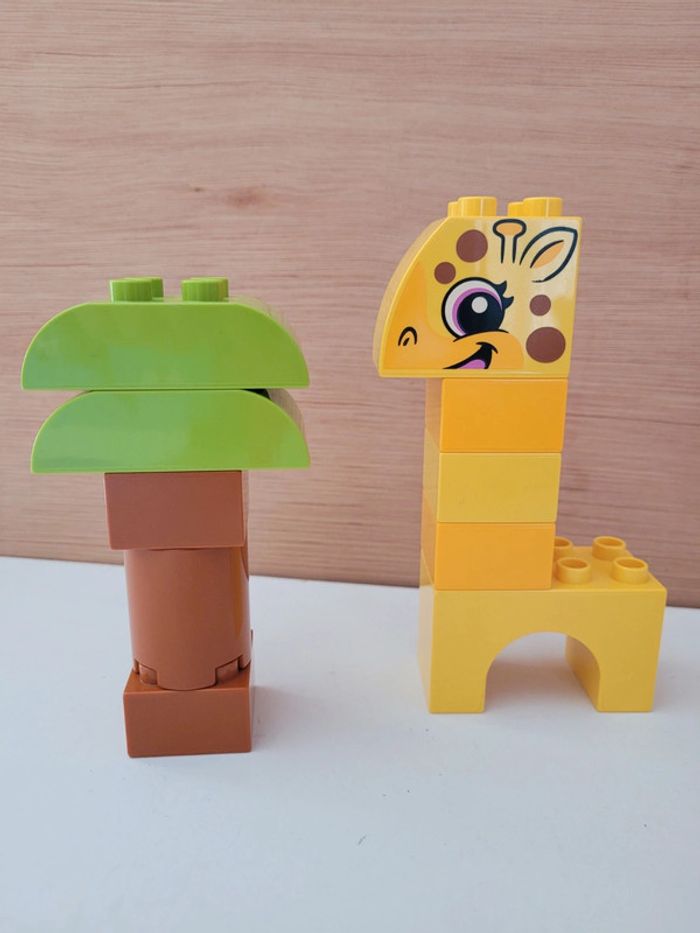 Grosse boîte Lego Duplo Classic Animaux créatifs 10934 - photo numéro 19