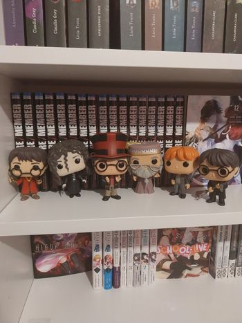 Lot de 6 Funko Pop Harry Potter Ron Bellatrix Dumbledore