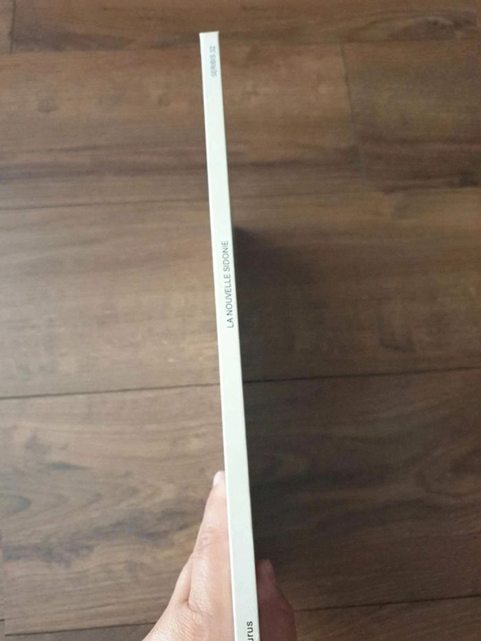 Bande dessinée Sylvain et Sylvette - photo numéro 2