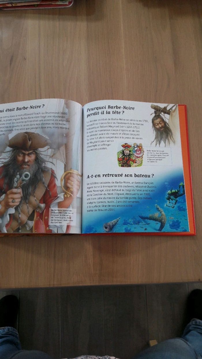 Livres les pirates - photo numéro 4
