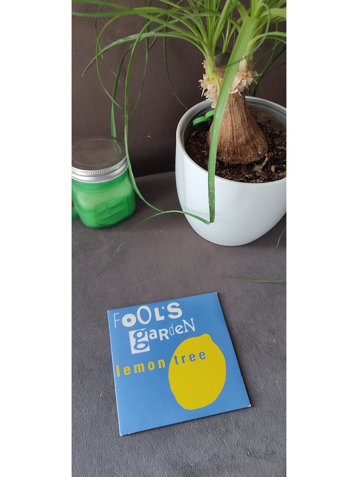 CD Fool's Garden - Lemon tree 2 titres
