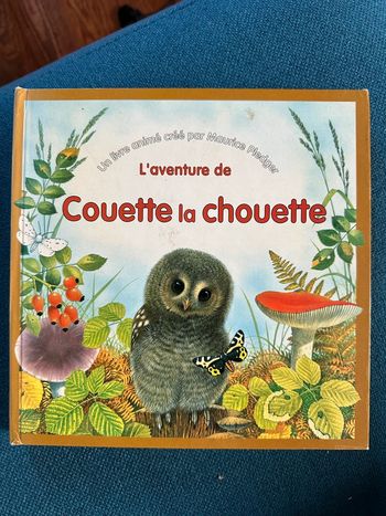 Livre carton album popup pop-up 3D L’aventure de Couette la chouette animaux forêt Maurice Pledger