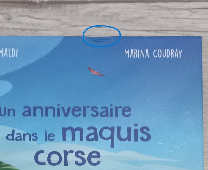 un anniversaire dans le maquis corse - photo numéro 3