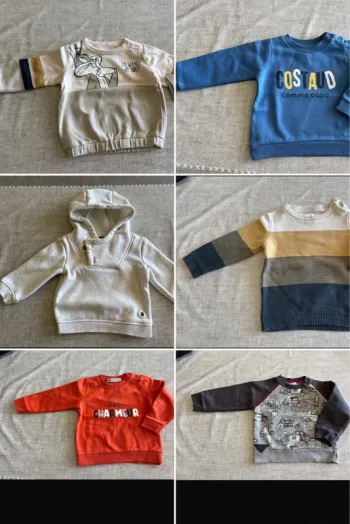 Lot pull/sweat 12 mois