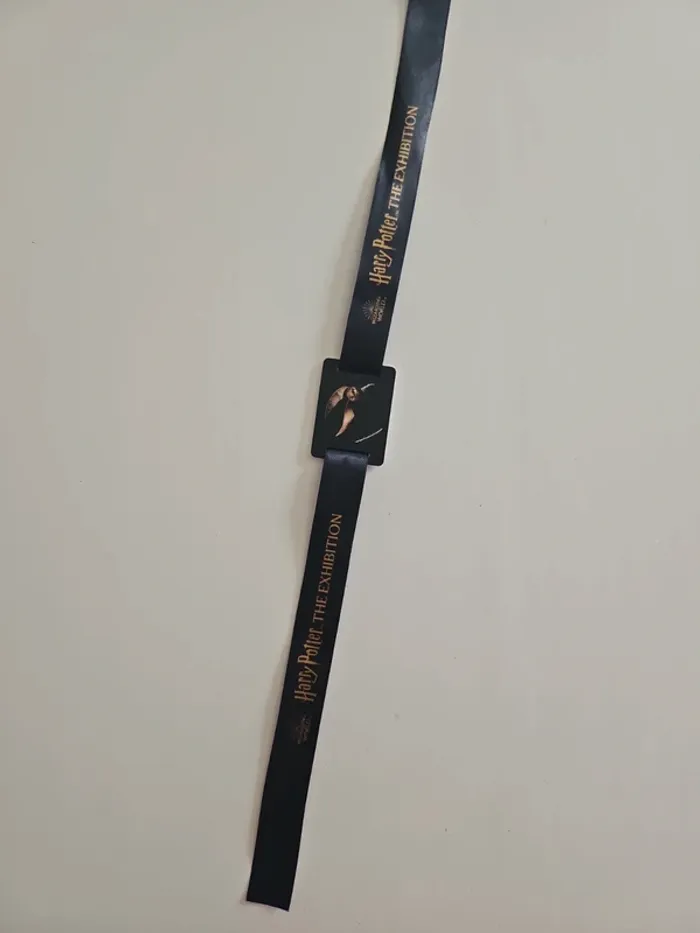 Bracelet collector Exposition Harry Potter