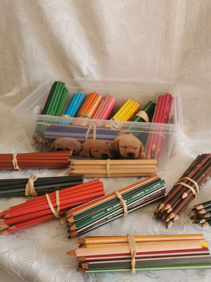 Énorme lot ~250 crayons de couleur + boîte hermétique chiots | Multimarques - photo numéro 4