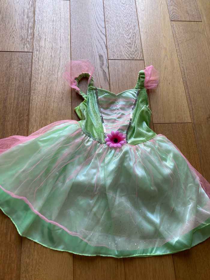 Robe fée verte et rose