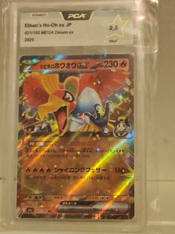 Ho-Ho ex de Mega dream M2a Gradée PCA