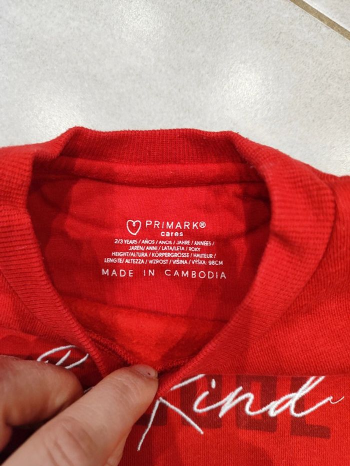 Pull Primark - photo numéro 2