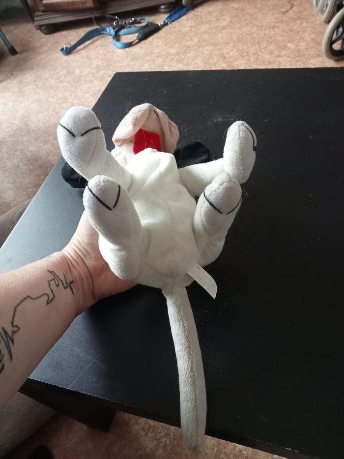 Peluche - photo numéro 5