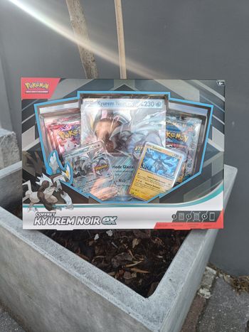 Coffret Kyurem Noir EX