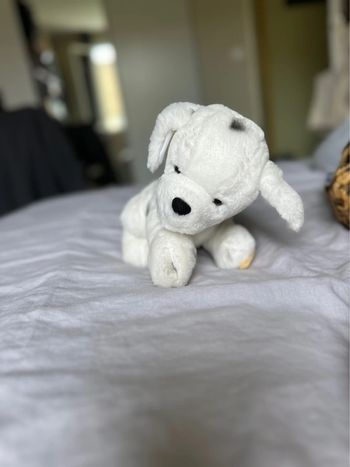 Peluche chien Friends&More