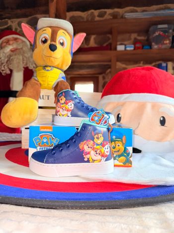 Basket pat patrouille