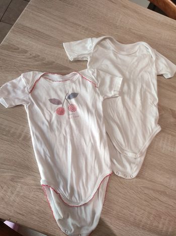 Bodie manches courtes