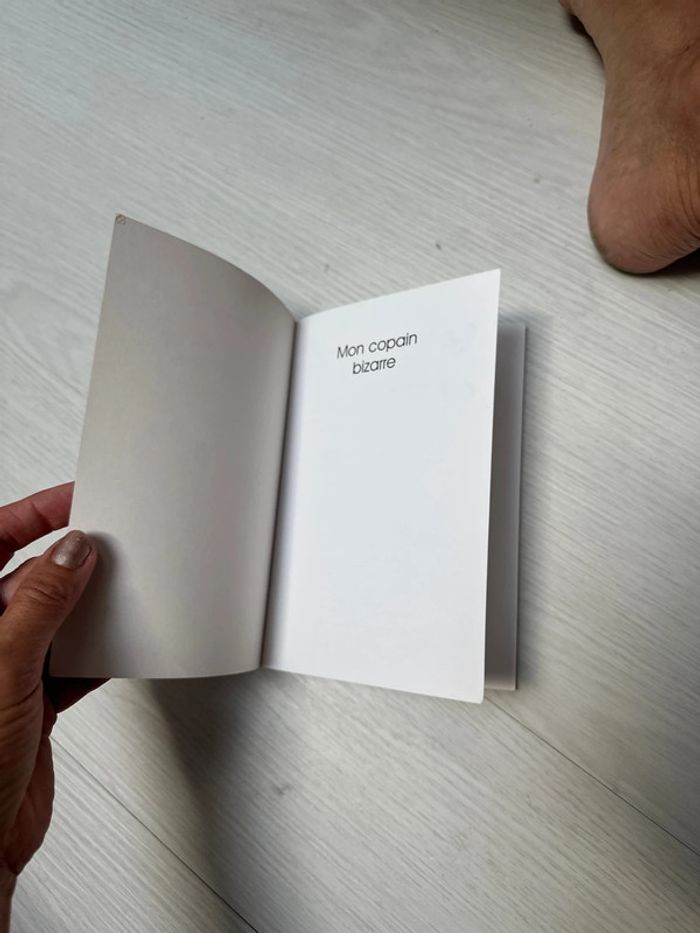 Livre, j’aime lire mon copain bizarre - photo numéro 5