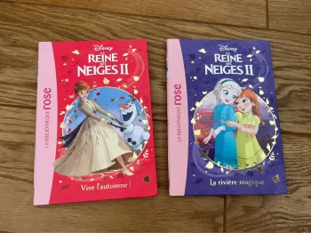 Livres reines des neiges 2 bibliothèque rose
