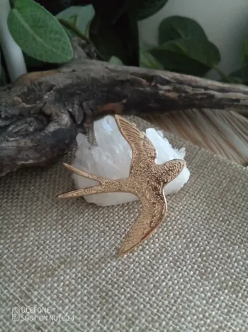 Broche hirondelle en acier inoxydable doré
