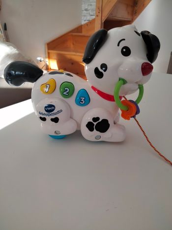 1 2 3 p'tit dalmatien