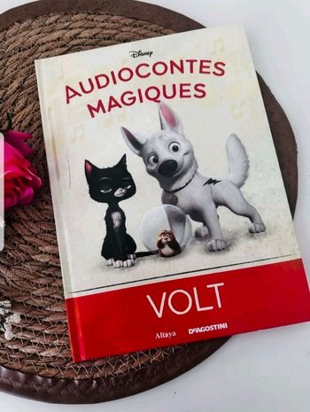 Livre disney 