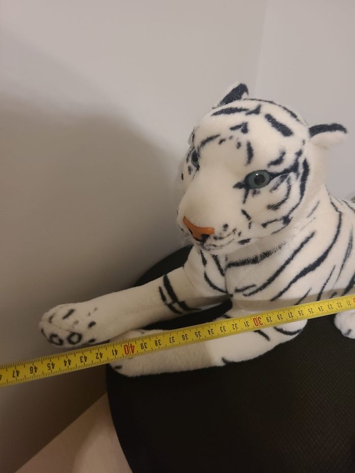 tigre blanc - photo numéro 8