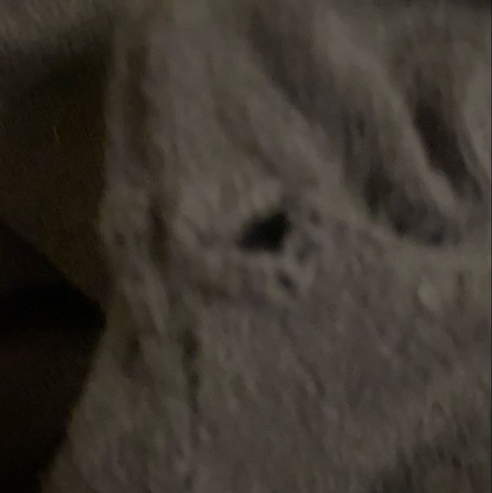 Pull noir - photo numéro 3