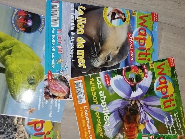 Lot de 7 magazines Wapiti année 2008 L024  7584488818 - photo numéro 6