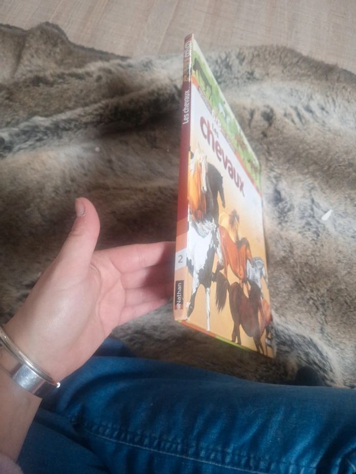 Livres les chevaux - photo numéro 2