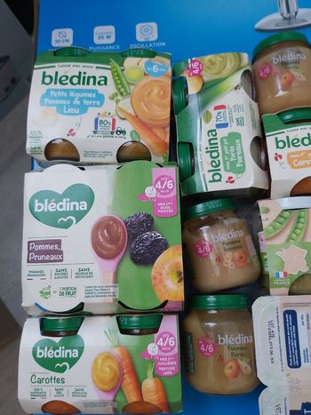 Lot bledina