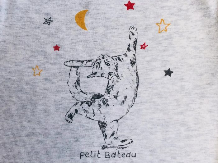 T-shirt ML sérigraphié chat Petit bateau T-4 ans - photo numéro 3