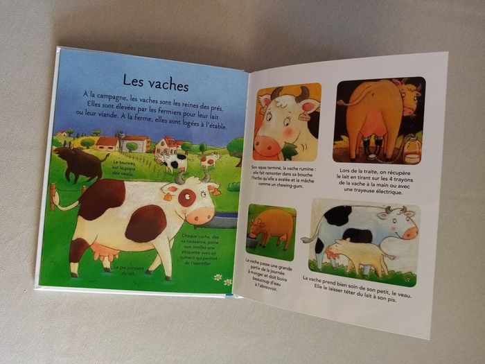 Livre petite imagerie - photo numéro 5
