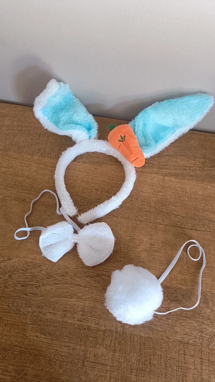 Déguisement lapin Pâques - photo numéro 6