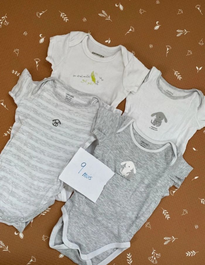 Lot 4 bodys manches courtes 9 mois