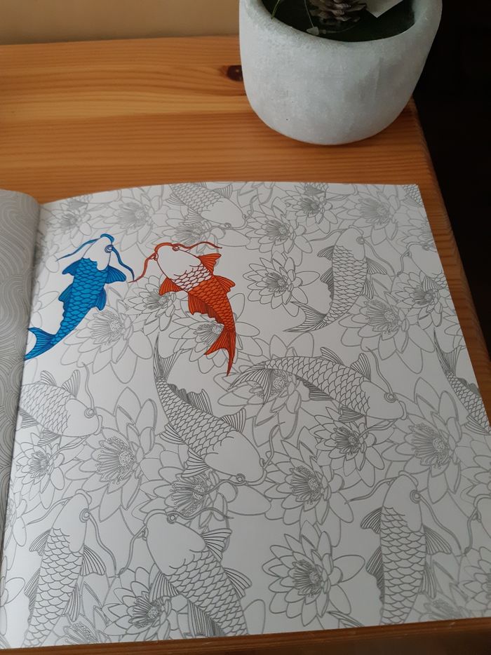 Livre de coloriage Inspiration Japon - photo numéro 4