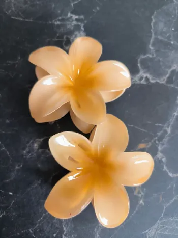 Lot de 2 pinces de fleurs orchidées