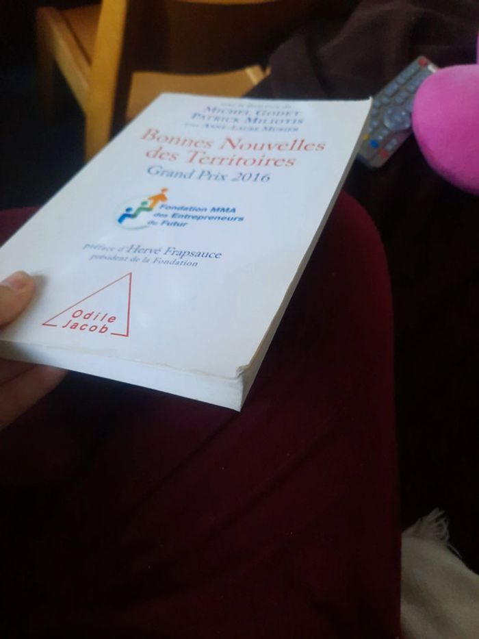 Livre bonnes nouvelles des territoires - photo numéro 3