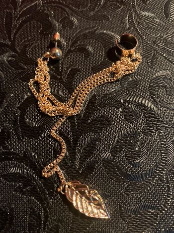 Un bijou d’oreilles