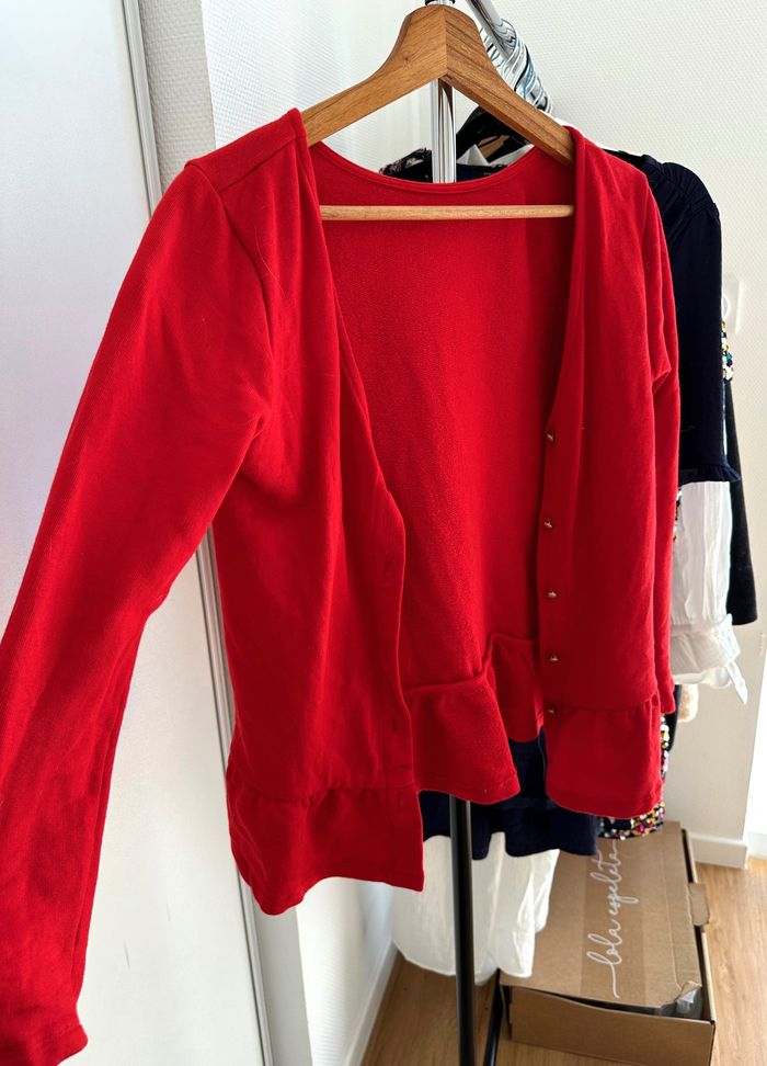 Gilet/pull rouge