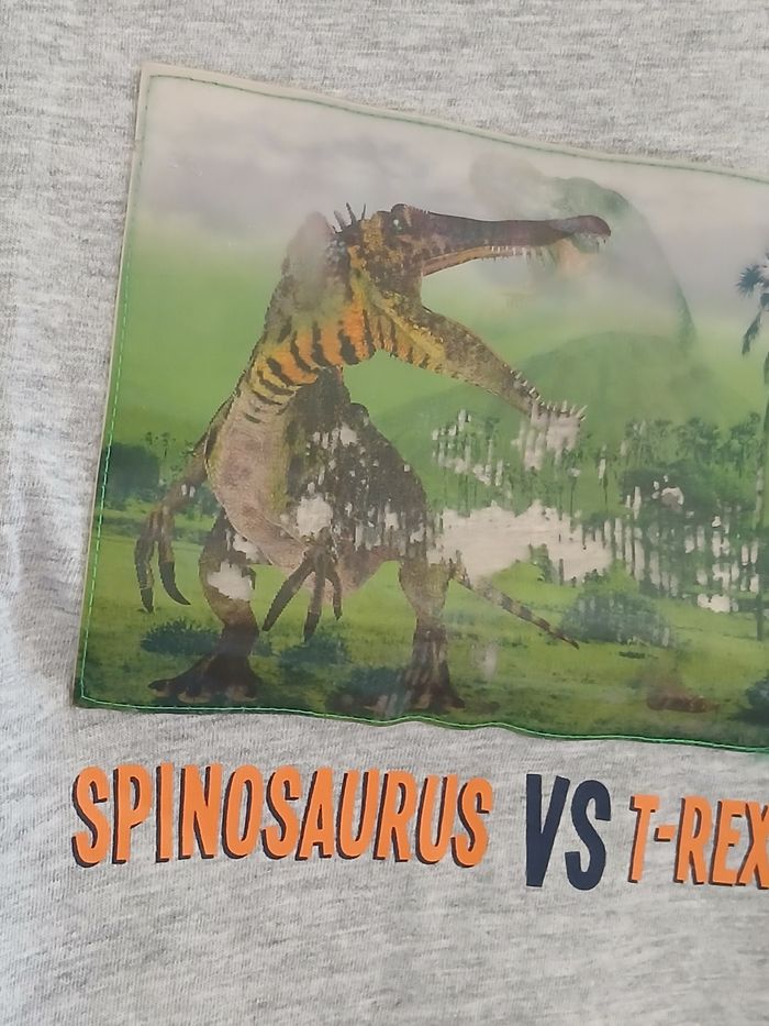 Tee-shirt Dinosaures Taille 3 ans - photo numéro 3