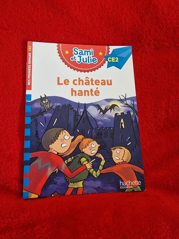 Livre sami et Julie le château hanté
