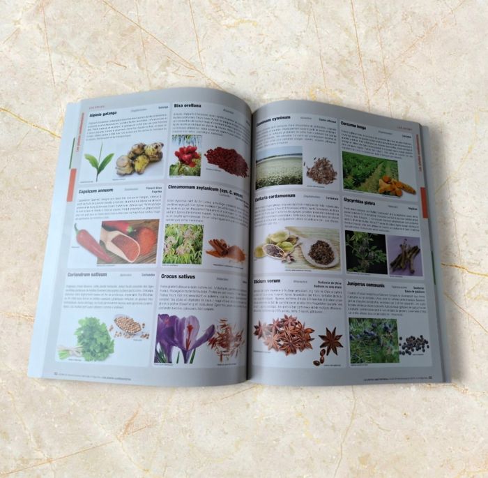 Guide de reconnaissance des fruits et légumes - photo numéro 3