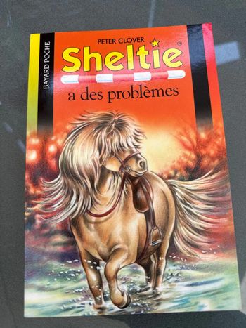 Sheltie -Sheltie a des problèmes